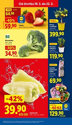 akční leták Lidl 19.3.2026-22.3.2026
