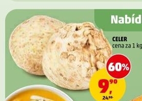 Celer bulva