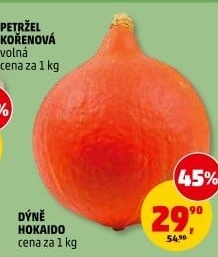 Dýně Hokkaidó