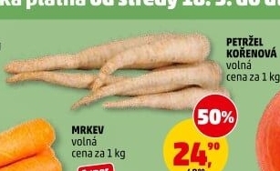 Petržel