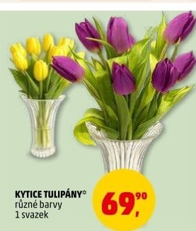 Řezané tulipány