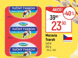Tvaroh tučný Moravia