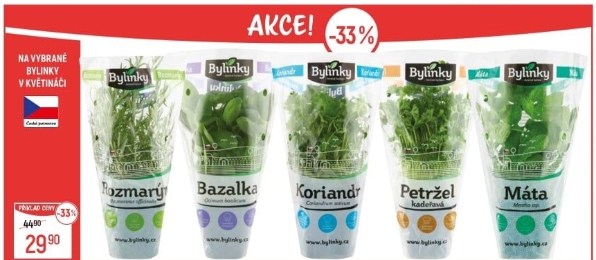Bylinky v květináči Bylinky s.r.o.