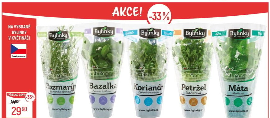 Bylinky v květináči Bylinky s.r.o.