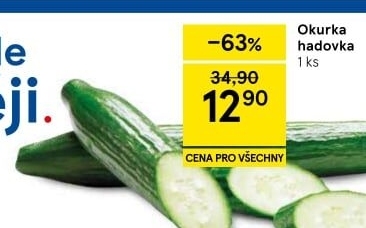 Okurka salátová - hadovka