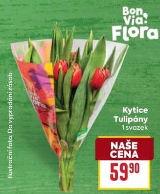 Řezané tulipány Flora Billa Bonvia