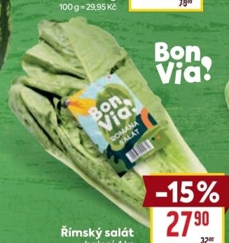 Salát římský Billa Bonvia