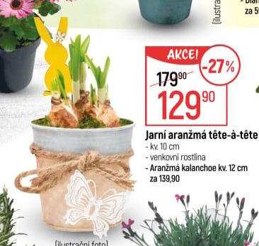Květinové aranžmá