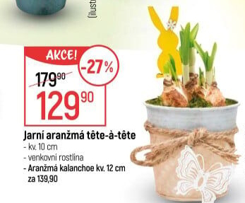 Květinové aranžmá