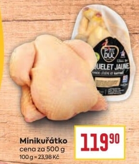 Mini kuřátko P'