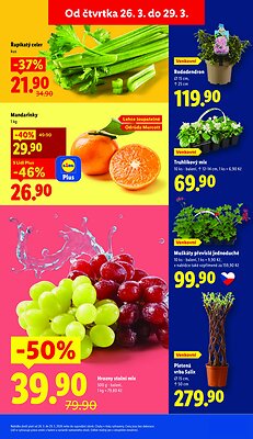 akční leták Lidl 26.3.2026-29.3.2026