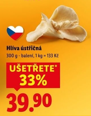 Hlíva ústřičná