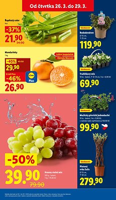 akční leták Lidl 26.3.2026-29.3.2026