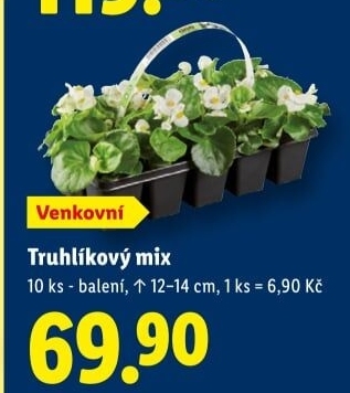 Mix rostlin