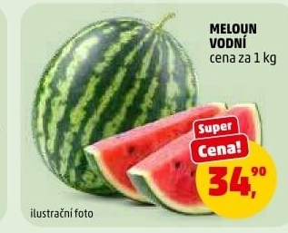 Meloun vodní