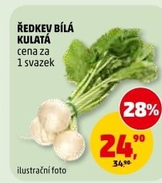 Ředkev bílá svazek