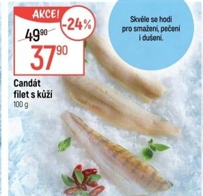 Candát filety