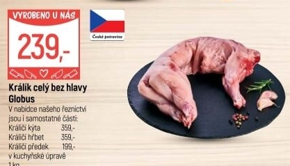 Králík Globus
