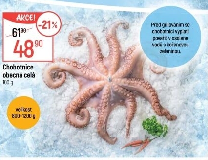 Chobotnice obecná