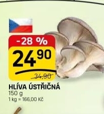 Hlíva ústřičná