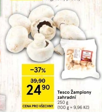 Žampiony zahradní Tesco