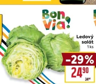 Salát ledový Billa Bonvia