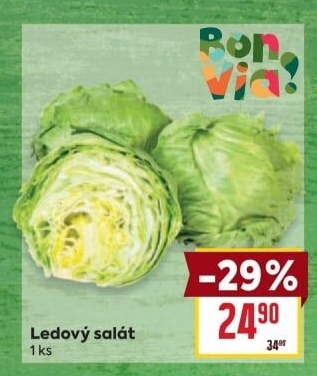 Salát ledový Billa Bonvia