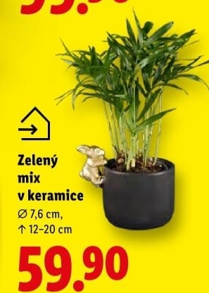 Mix zelených rostlin