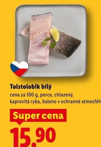 Tolstolobik bílý