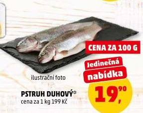 Pstruh duhový