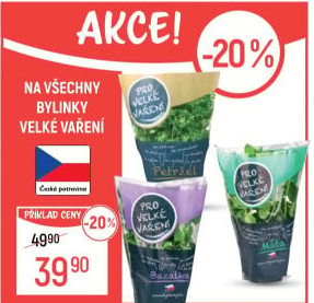 Bylinky v květináči
