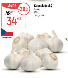 Česnek český