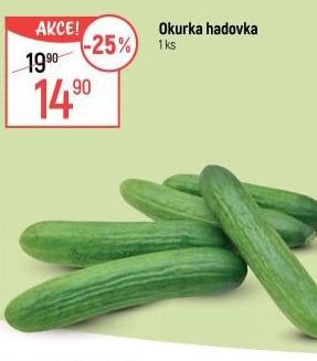 Okurka salátová - hadovka