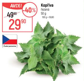 Kopřiva čerstvá