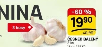 Česnek