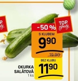 Okurka salátová - hadovka