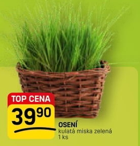 Velikonoční osení