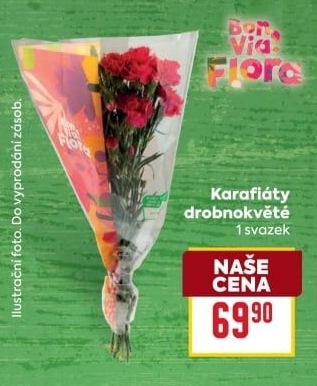 Řezané karafiáty Flora Billa Bonvia