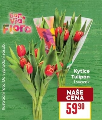 Řezané tulipány Flora Billa Bonvia