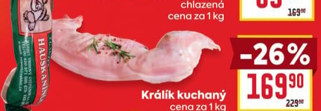 Králík Rabbit