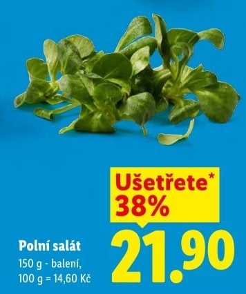 Salát polníček