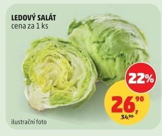 Salát ledový