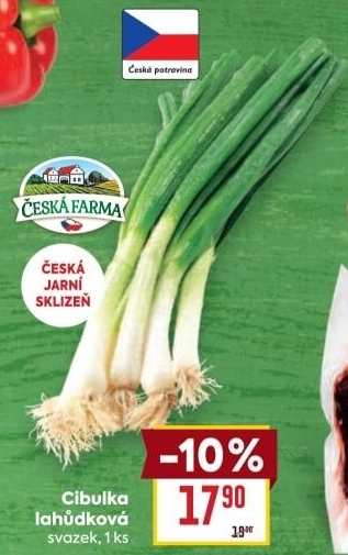 Jarní cibule svazek Česká farma