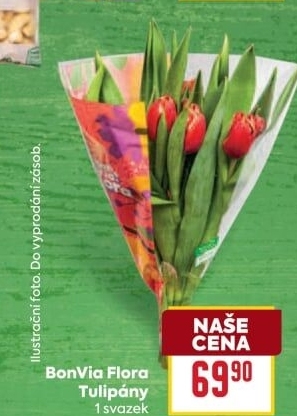 Řezané tulipány Flora Billa Bonvia