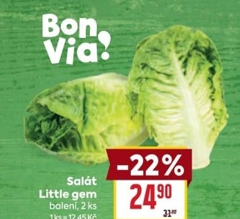 Salát little gem Billa Bonvia