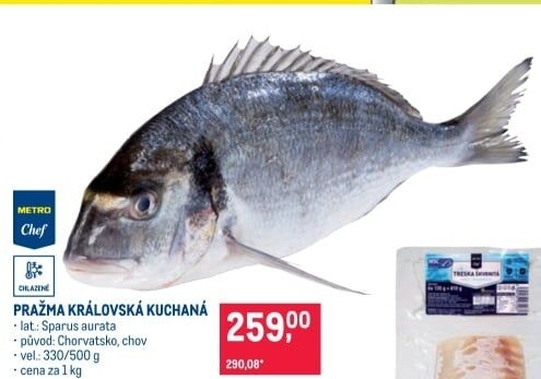 Pražma královská kuchaná Metro Chef