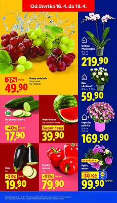 akční leták Lidl 16.4.2026-19.4.2026
