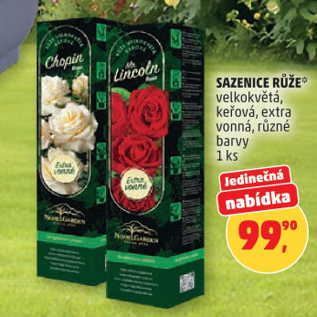 Sazenice růží Nohel Garden