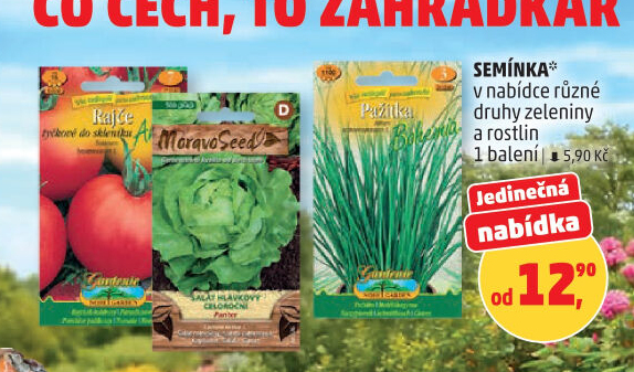 Zahradní osivo