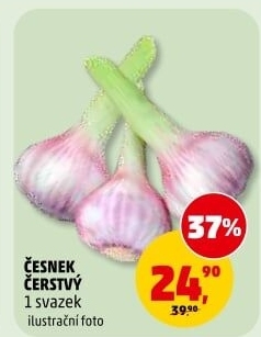 Česnek čerstvý svazek